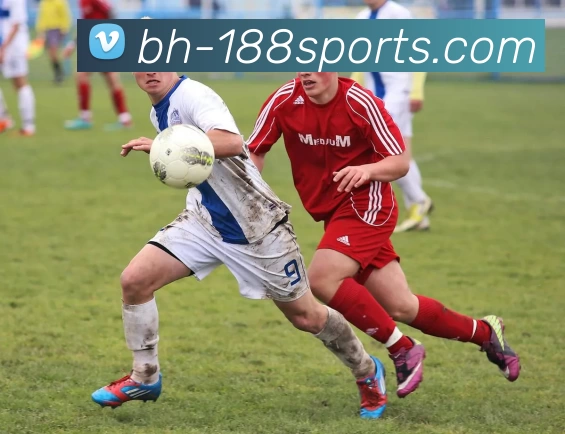 App Interface Preview